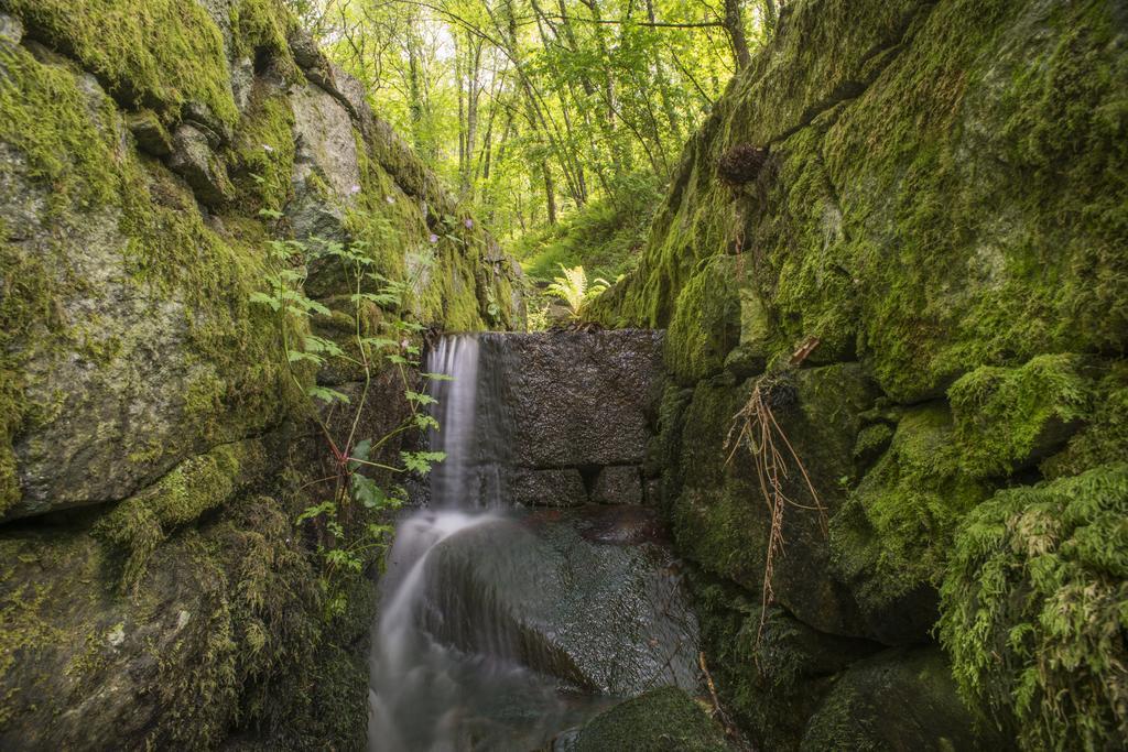 Quinta Do Fontelo Villa Vouzela Dış mekan fotoğraf