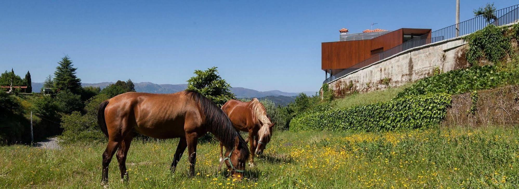Quinta Do Fontelo Villa Vouzela Dış mekan fotoğraf