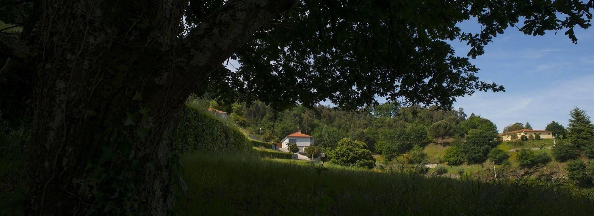 Quinta Do Fontelo Villa Vouzela Dış mekan fotoğraf