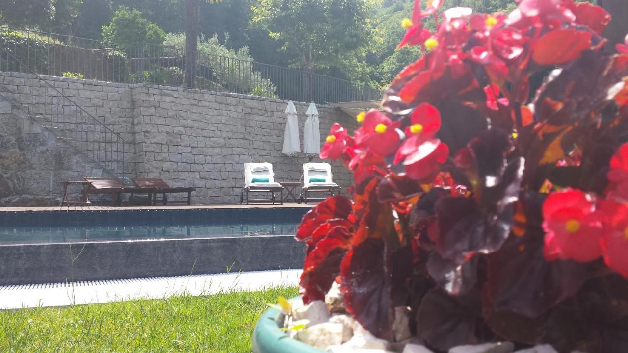 Quinta Do Fontelo Villa Vouzela Dış mekan fotoğraf